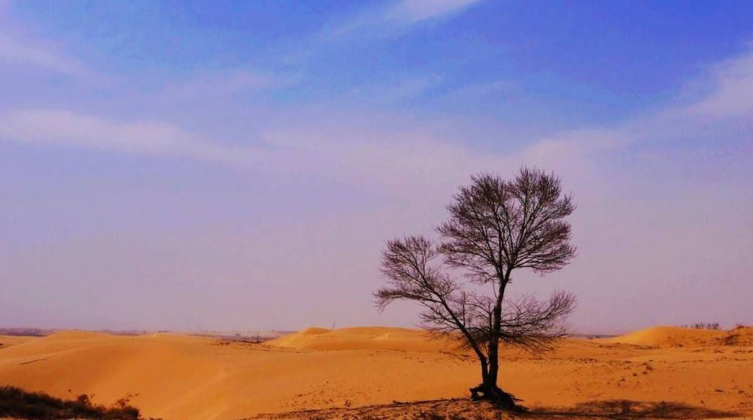 一整片千年沙漠被中国“干掉”了？联合国为此给出极高评价！