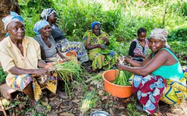 实拍：非洲农民这样盖房