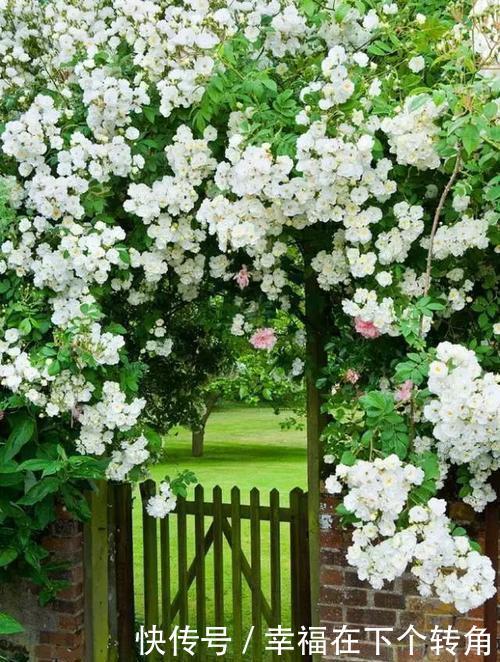  「快乐」篱笆小院住在乡村的快乐，你想体验吗！
