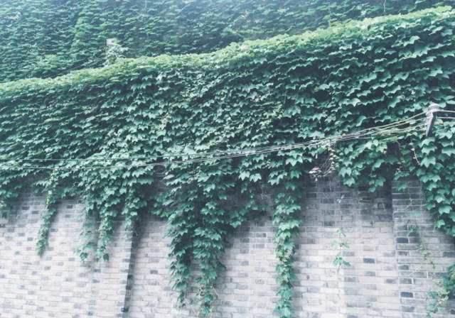 江南第一豪宅——薛氏旧宅里青砖洋瓦,一如从前