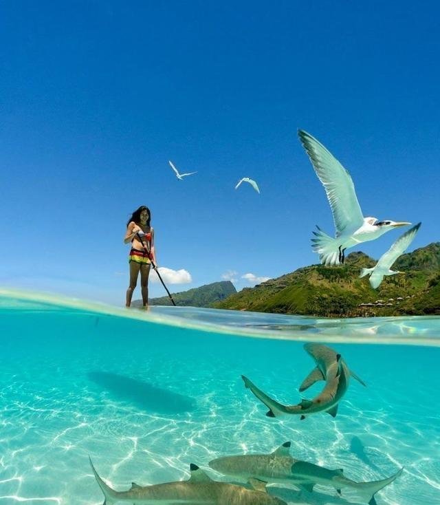 13张像ps出来的图片,却都是自然界真实存在的