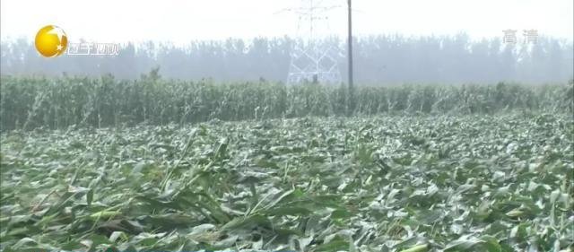 雨仍在路上！多路记者发回辽宁各地最新雨情