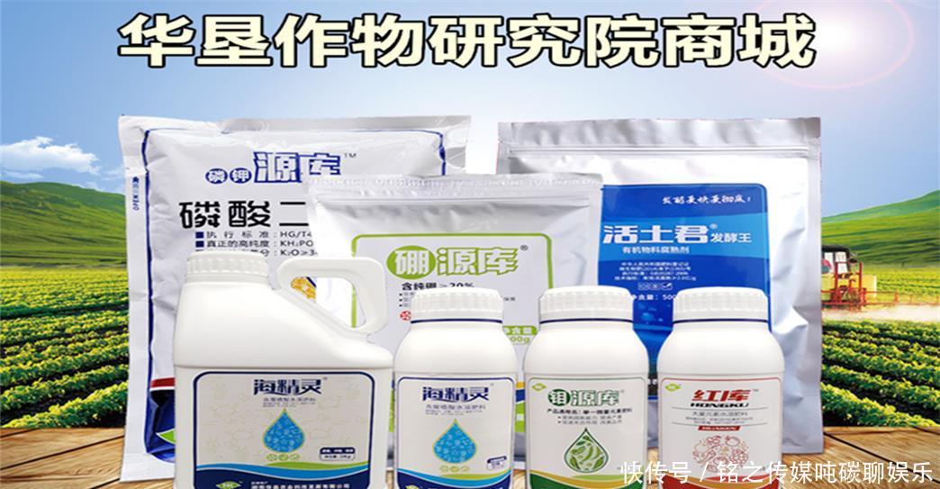  【消费】砂糖橘行情低迷，果农说百家果拉低价格了，你觉得呢？