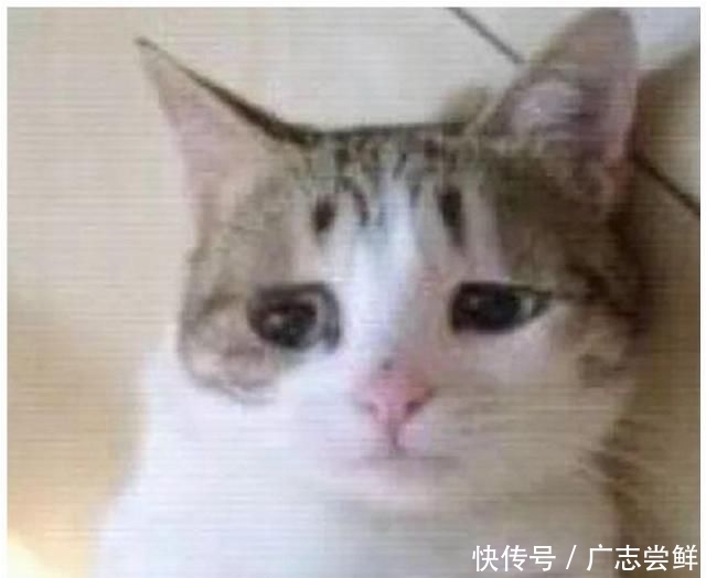  「穿搭」身高150，适合短裙还是长裙？