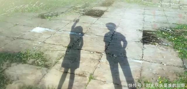 2019日本票房排行榜