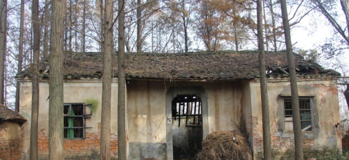  推出■“一户一宅”推出，没有证件的老房子怎么办？还能推倒重