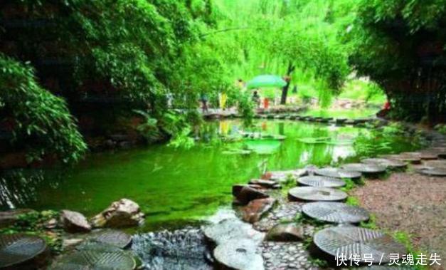  历史：山东这个村子很特别，居住在竹林里面，距今400多年历史！
