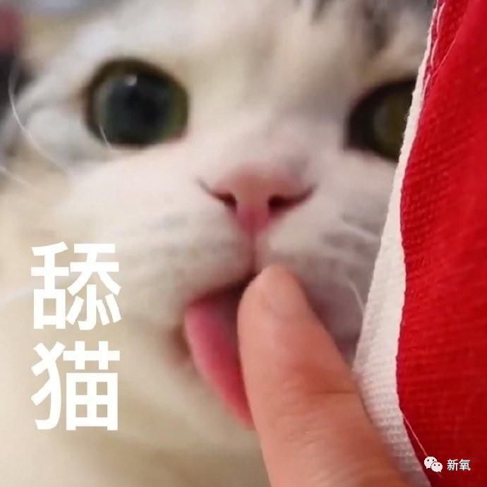  『最美脸蛋』做了不下10项整形手术，却从没脸崩过的亚洲第一美人，服气！