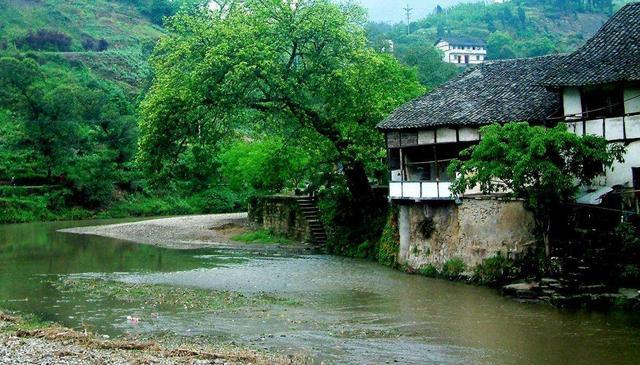  『上挂』重庆的偏岩古镇，当地特有的民俗，古树上挂的树娃娃是做什么用？