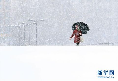  [吉林]吉林长春大雪纷飞