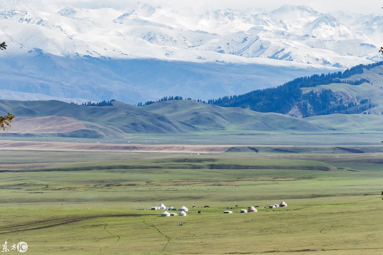 大草原上勾勒一幅草原美景