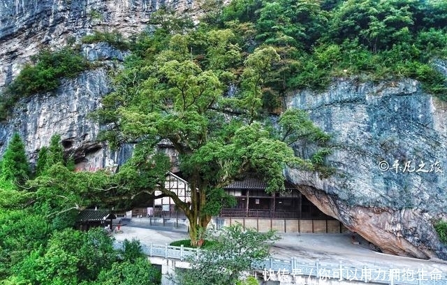 贵州大山里的一个山洞，有半个足球场大，杨虎城被关在这儿8年