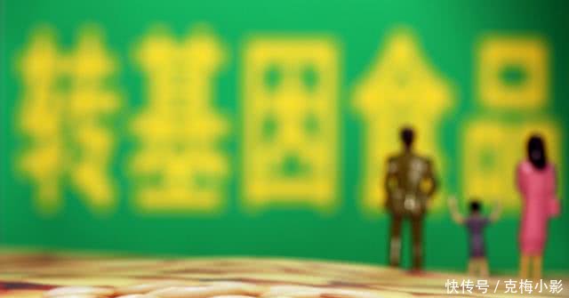 原创《哈密瓜香精与转基因食品,是啥就是啥》