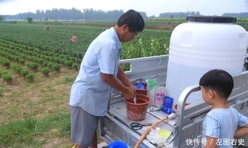  「年收入」农民种植特色作物20年，年收入近20万元，为啥年轻人