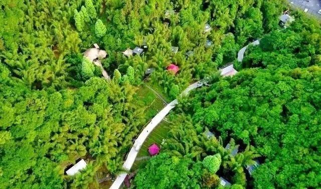 成都出发坐高铁/动车1小时直达!这15个短途旅行圣地等你去打卡(