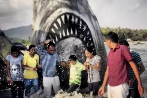 海边的石头竟然变成了“大白鲨”?人们纷纷跑来合影打卡