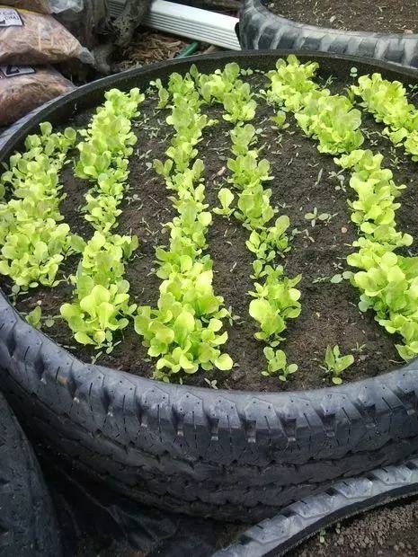  『花床』朋友用生活废料制作的花床，都不用两百块