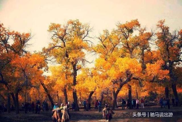 国庆最热门的十大旅游景点，个个经典，早做计划，提前准备！