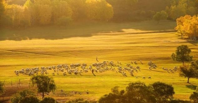 有一种美，叫秋天的乌兰布统