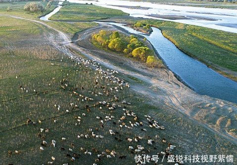 万里西游川甘青新第9天独库公路在巴音布鲁克感谢新疆交警人性执