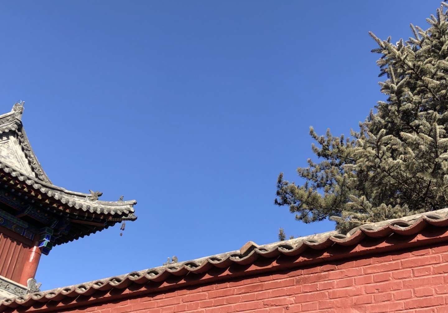 五台山，这里称紫府山，也称作五峰山道场，春节小游五台山