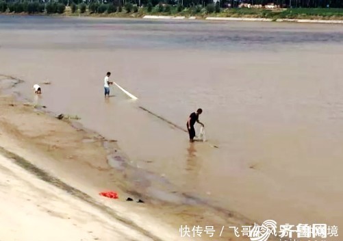 险！水位下降 寿光弥河迎来了这些“不速之客”