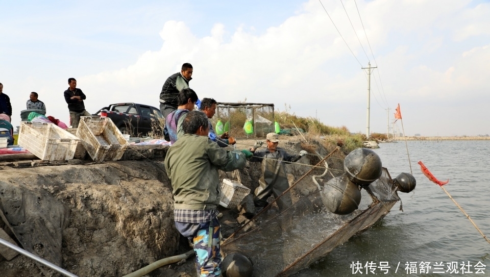  [海边]东北海边胖头鱼滚球上岸！渔村70后十姐妹2小时分拣万斤鱼