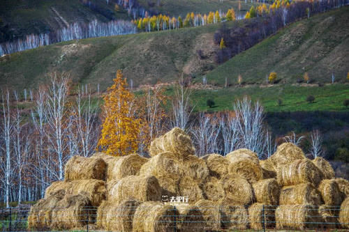 最难到的村落：村民为俄罗斯后裔，游客需办证才能被放行