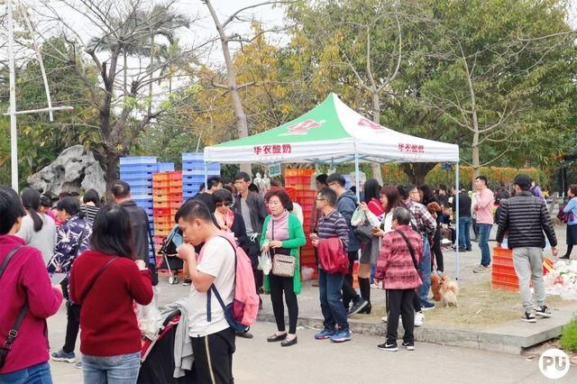 靓！佛山周边1500株樱花已盛开，最美的春天在这里~