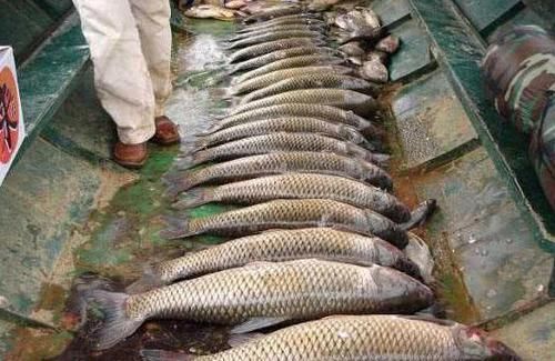  「泡沫箱」万峰湖真的是钓鱼人的天堂吗？