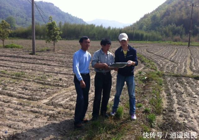  2020年|2020年，农村土地要合并？农民还可获每亩/60000补贴？你