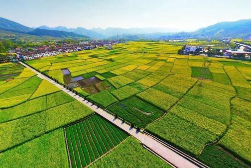 这个春天去陕西看花，八处养眼好看的赏花地美得让你落泪！