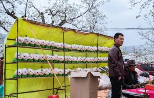  「知识」为什么农村要隔几天才来一次赶集？天天赶集难道不好吗