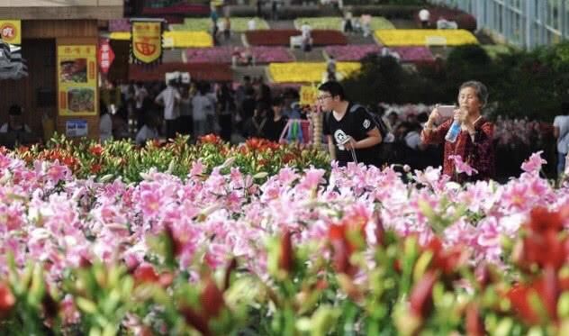 玩转十一黄金周 成都各种新鲜玩法出炉