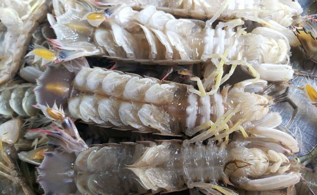 梭子蟹、皮皮虾引领菜市场海鲜新潮 新鲜海鲜替代冰冻成主流