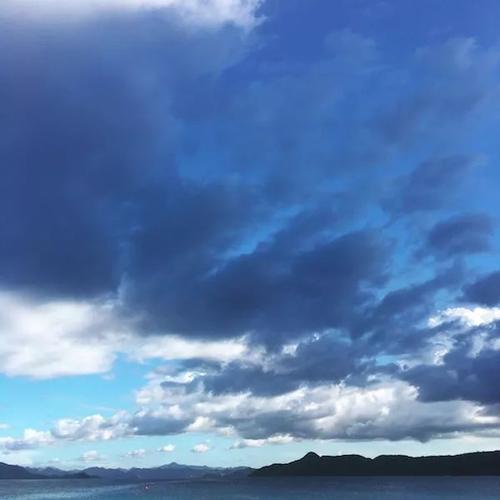 人生怎么也要看一次的长尾鲨!!