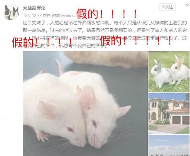 假的！无良账号冒充马蓉传播谣言，鹿晗张杰Baby等明星纷纷躺枪