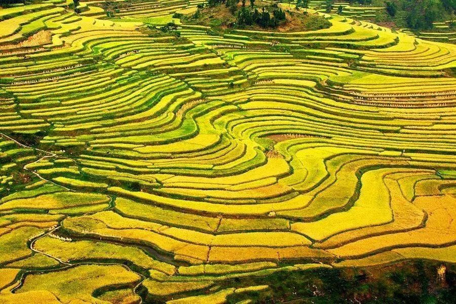 9月,贵州最美的风景竟然在这里,一生要去看一次~