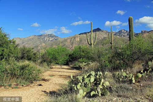  「枯竭」中国绿化西北荒漠，可能导致水资源枯竭！《自然》凭什