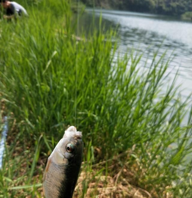  [告别]告别清明连绵雨，迎来初春艳阳天 不去岂冤？