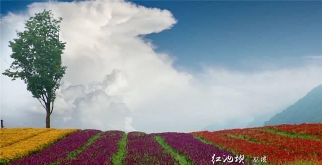 重庆彻底火了！又拿全国第一，网红城市当之无愧！