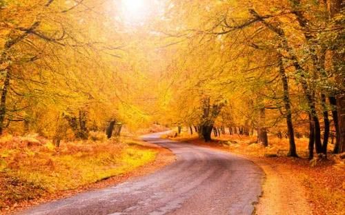 欧洲的秋天，真的不是童话！