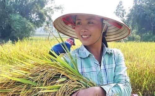  【越南】越南人口近亿，国土却仅有中国的三十分之一，为何还有