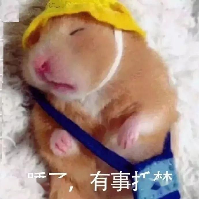 没想到@百万网红照骗翻车现场,点开前没想到这么好笑...全程高能xswl!!