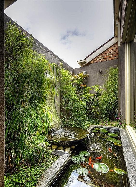 庭院竹子50张图告诉你，花园里种竹子有多高大上，气质瞬间提升