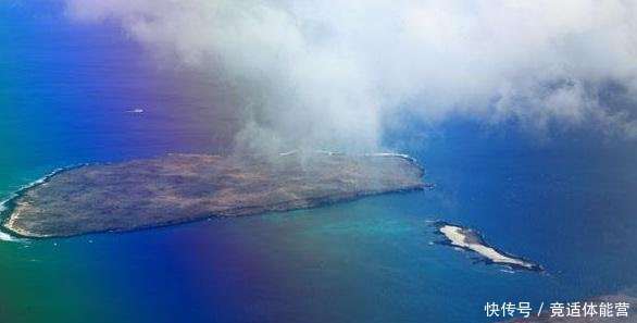 南美洲此小岛，引入3只羊后演变成25万只，政府下令将其消灭