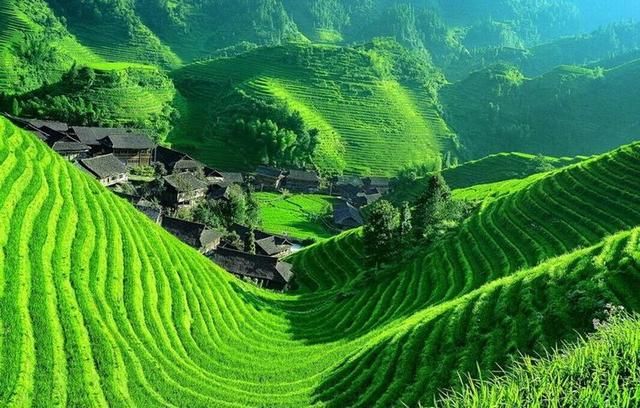 中国春天最美的七个地方，你最想去哪个？