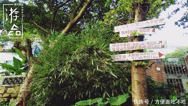 只知道重庆南山“一棵树”？其实，这里还有“壹碗水”