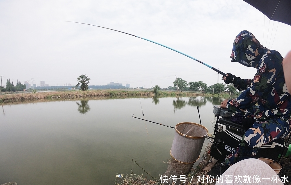 变化|鱼漂阴漂,真的是质量问题吗?其实它有个小秘密