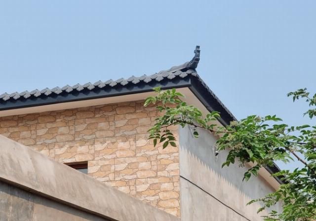  「再次」“旗舰杀手”的再次蜕变 一加8 Pro拍照专项评测